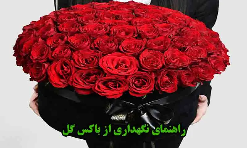 راهنمای نگهداری از باکس گل و سبد گل