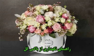 راهنمای نگهداری از باکس گل و سبد گل