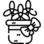 گل گیفت